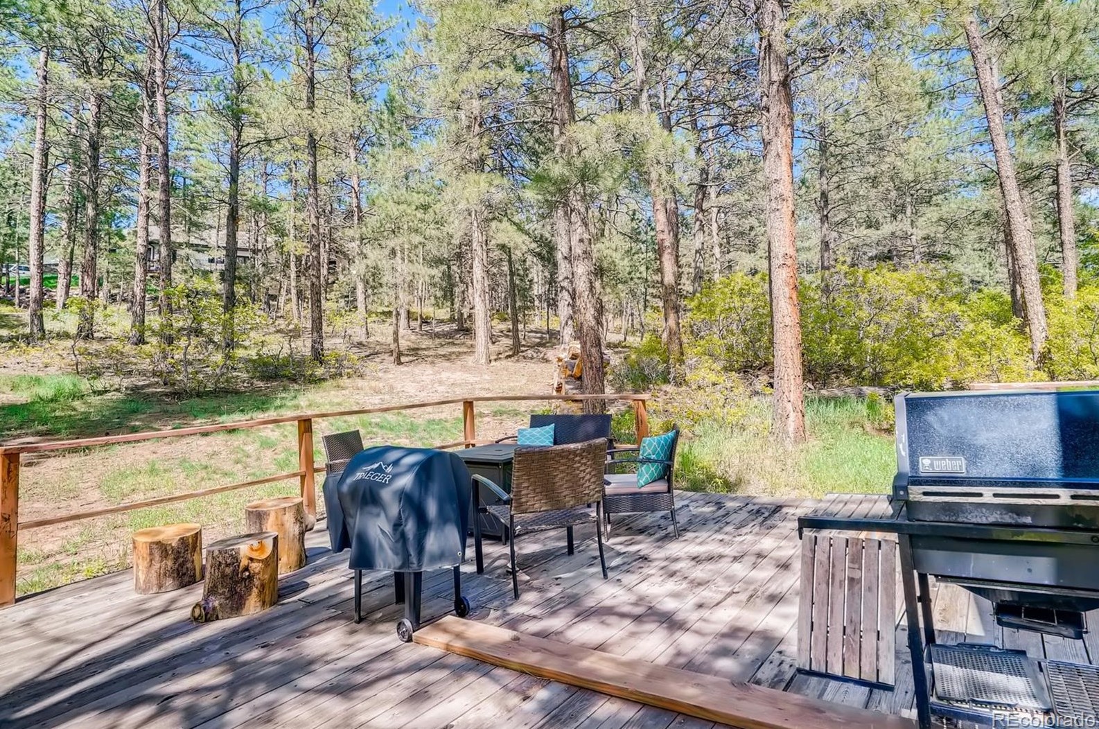 4305 Red Rock Dr, Palmer Lake CO  80118-8407 exterior