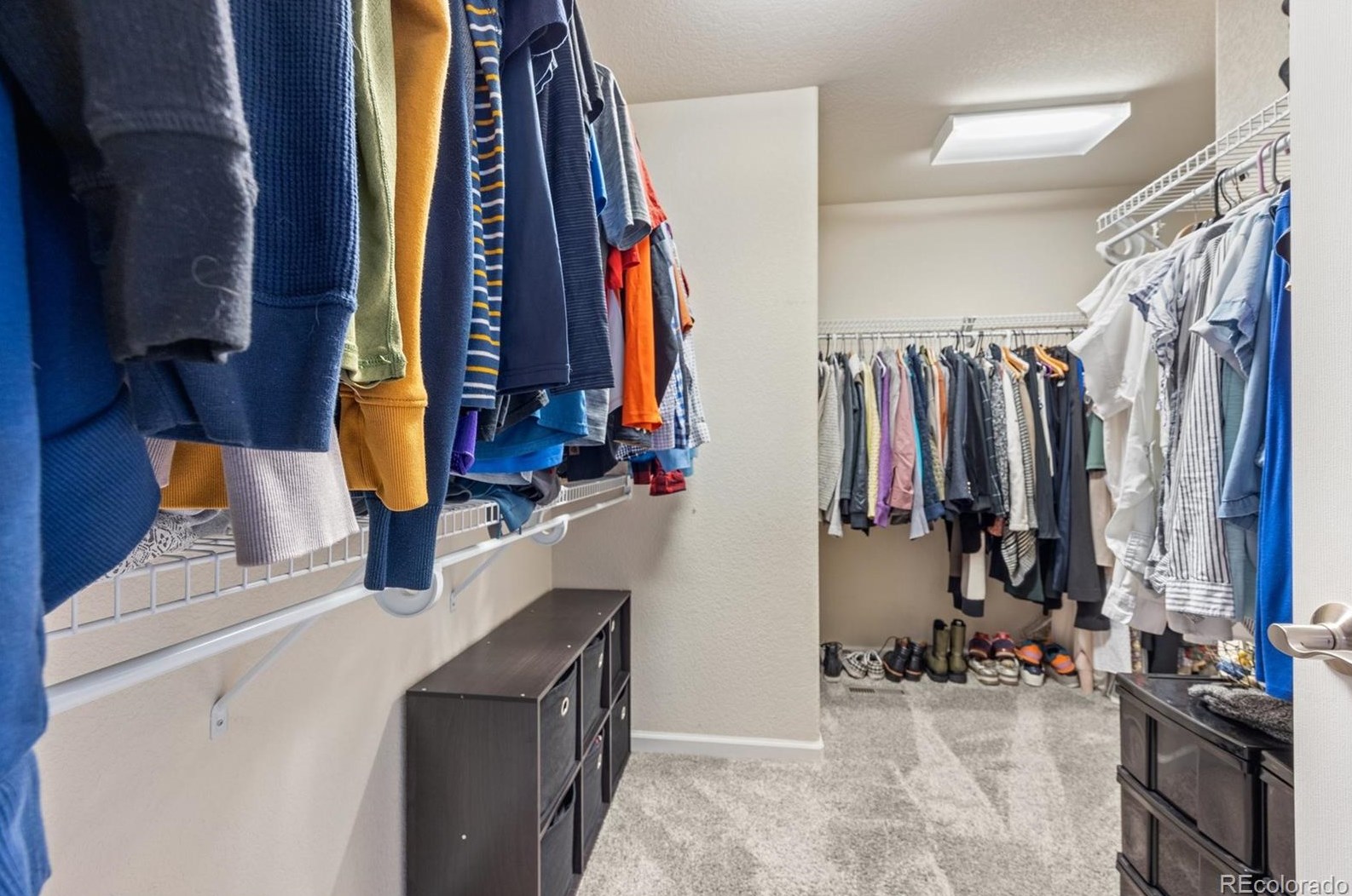 13561 85th Dr, Arvada CO  80005-5829 exterior