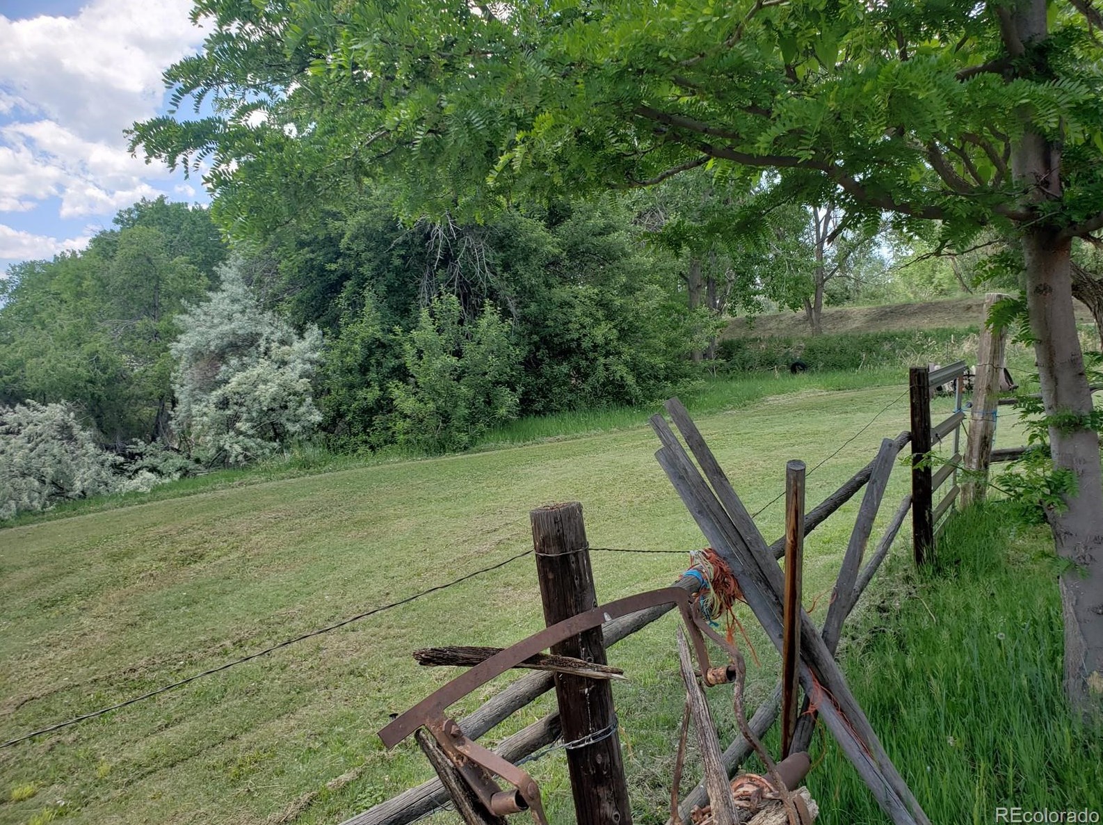 14594 74 Dr, Arvada CO  80007 exterior