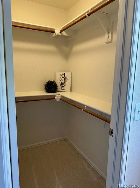 819 Summer Dr, Littleton CO 80126-3093 exterior