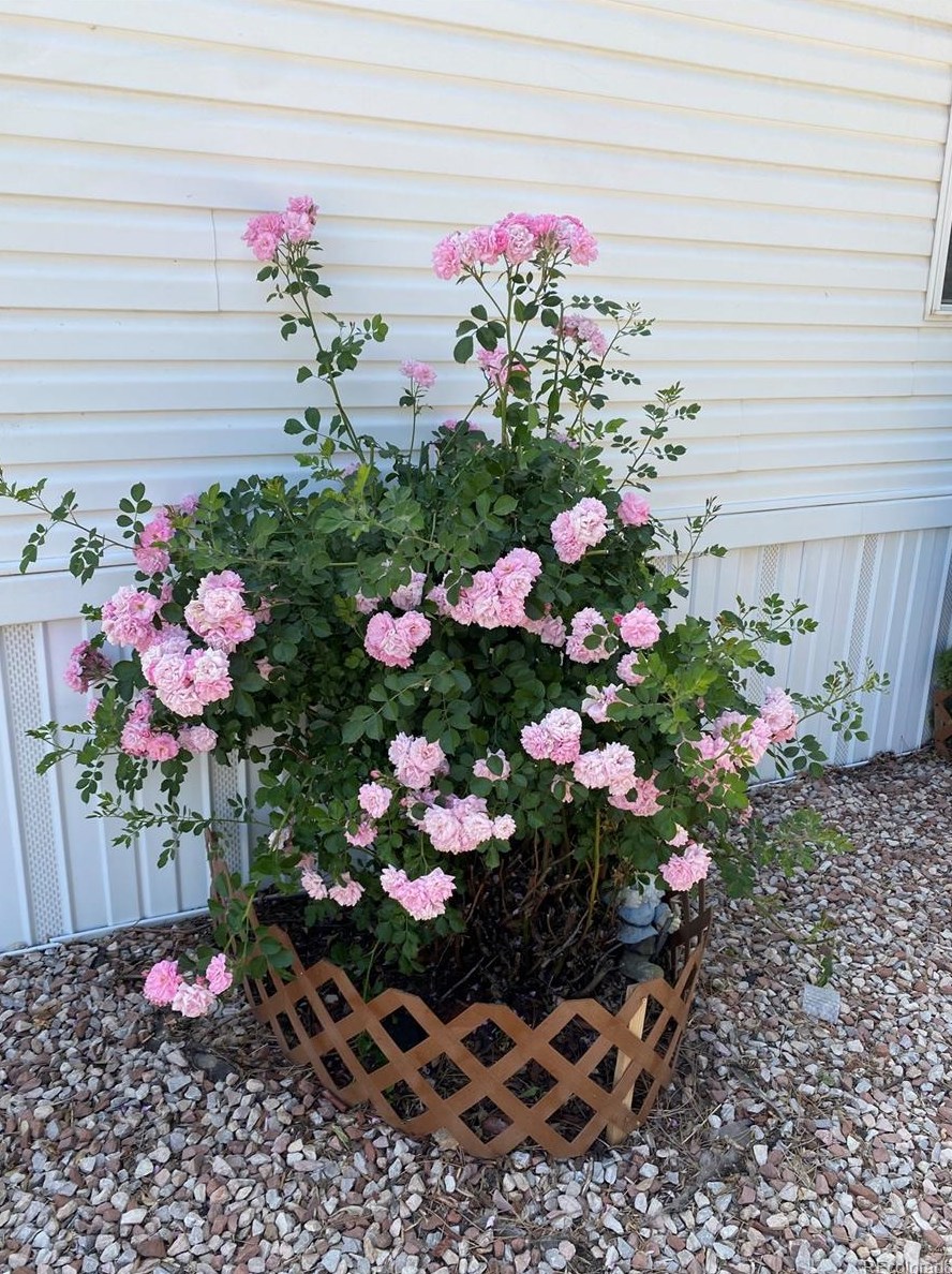 6705 Santa Fe Dr, Littleton CO 80120-2925 exterior