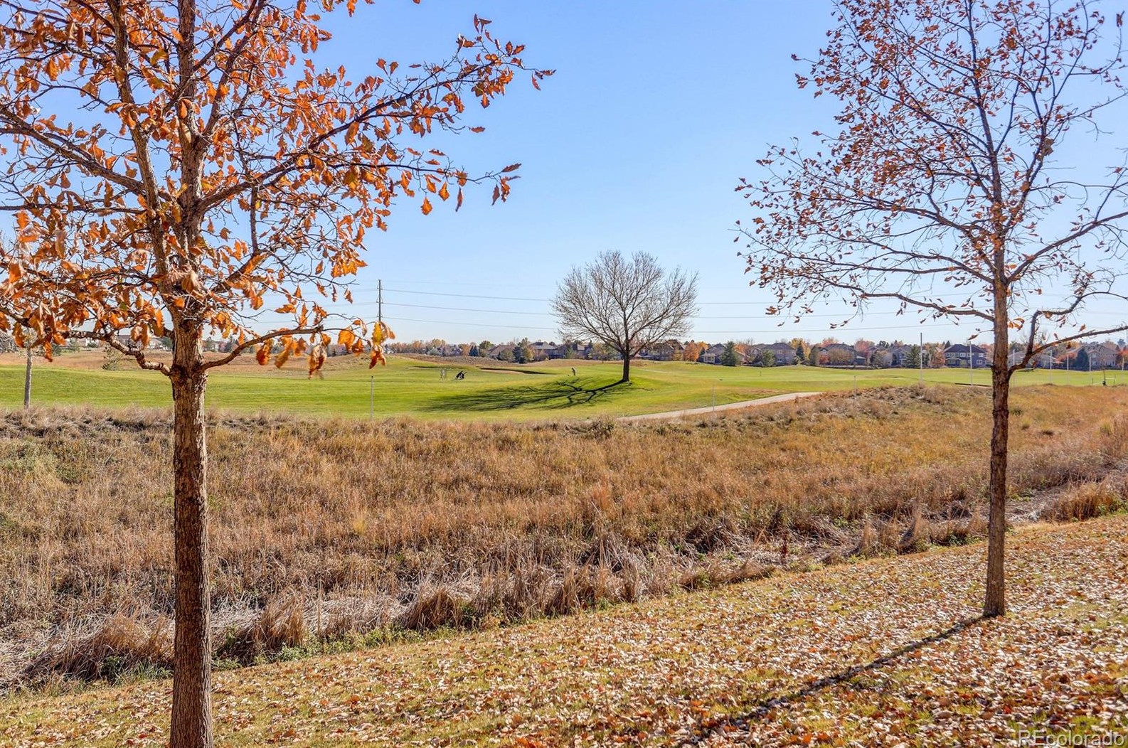 2226 Calais Dr, Longmont CO  80504-1993 exterior