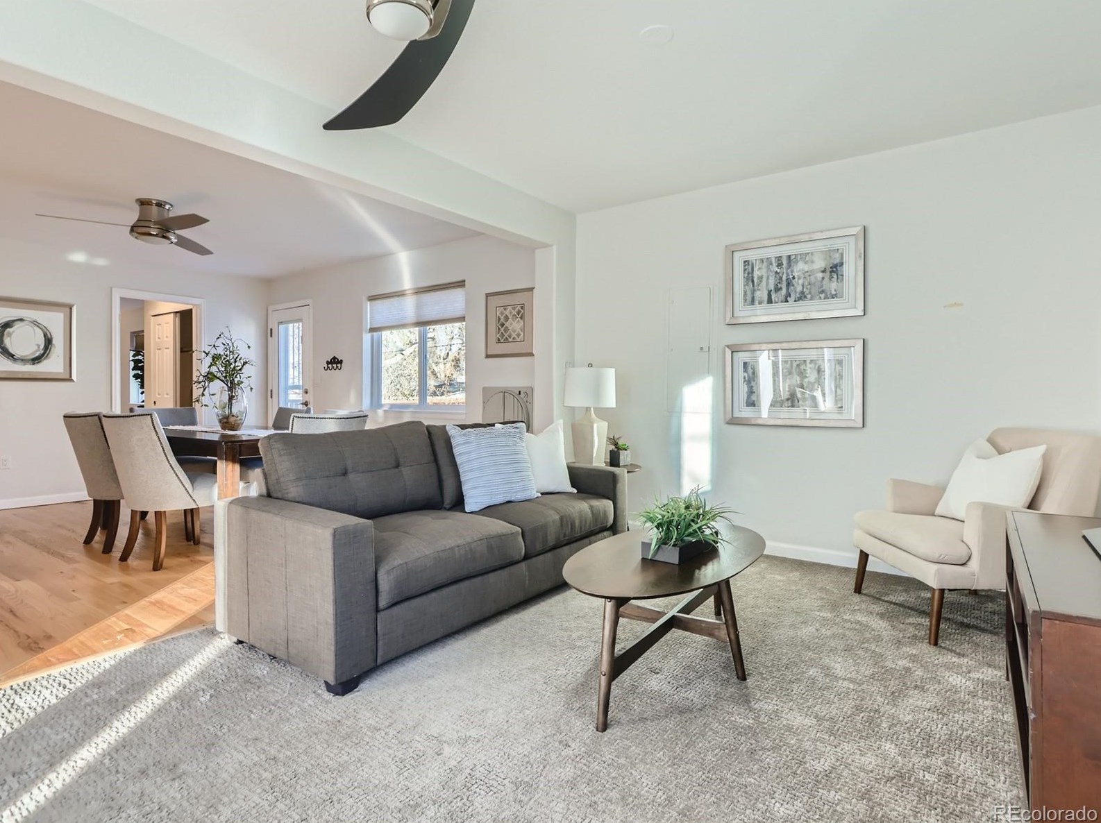 6462 Spotswood St, Littleton CO  80120-3147 exterior