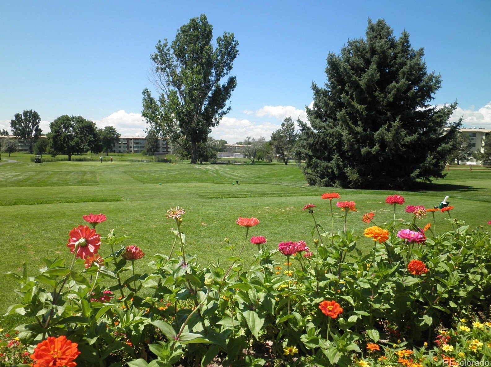 680 S Alton Way #7b, Denver, CO 80247