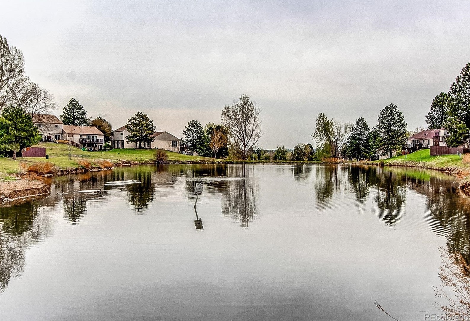 4241 Ponds Cir, Littleton CO  80123-6563 exterior