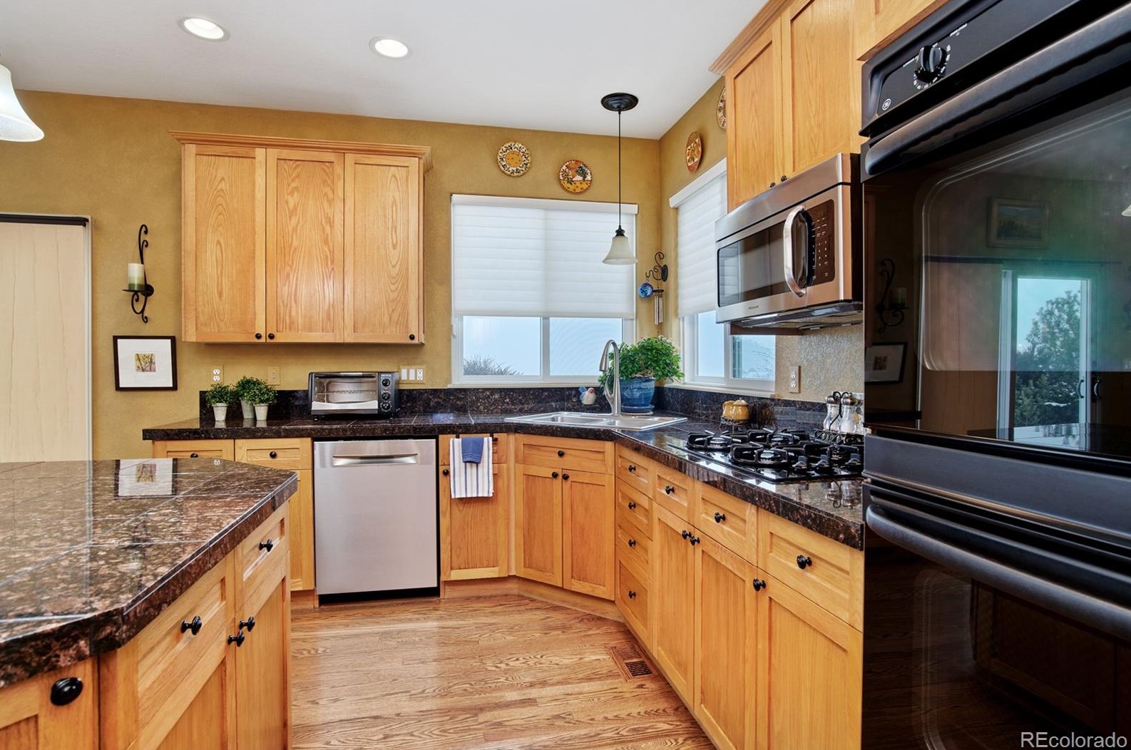 1365 Peninsula Cir, Castle Rock CO 80104-3710 exterior