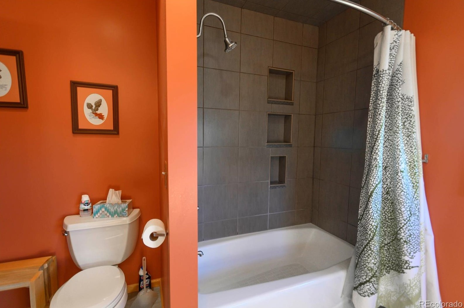 305 Steamboat Blvd, Steamboat Springs CO 80487-3056 exterior