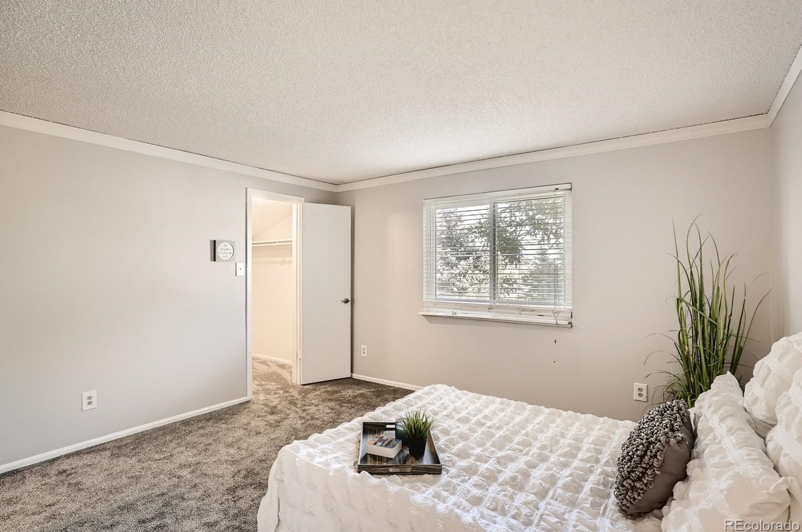 7560 Coors St, Arvada CO  80005-5838 exterior
