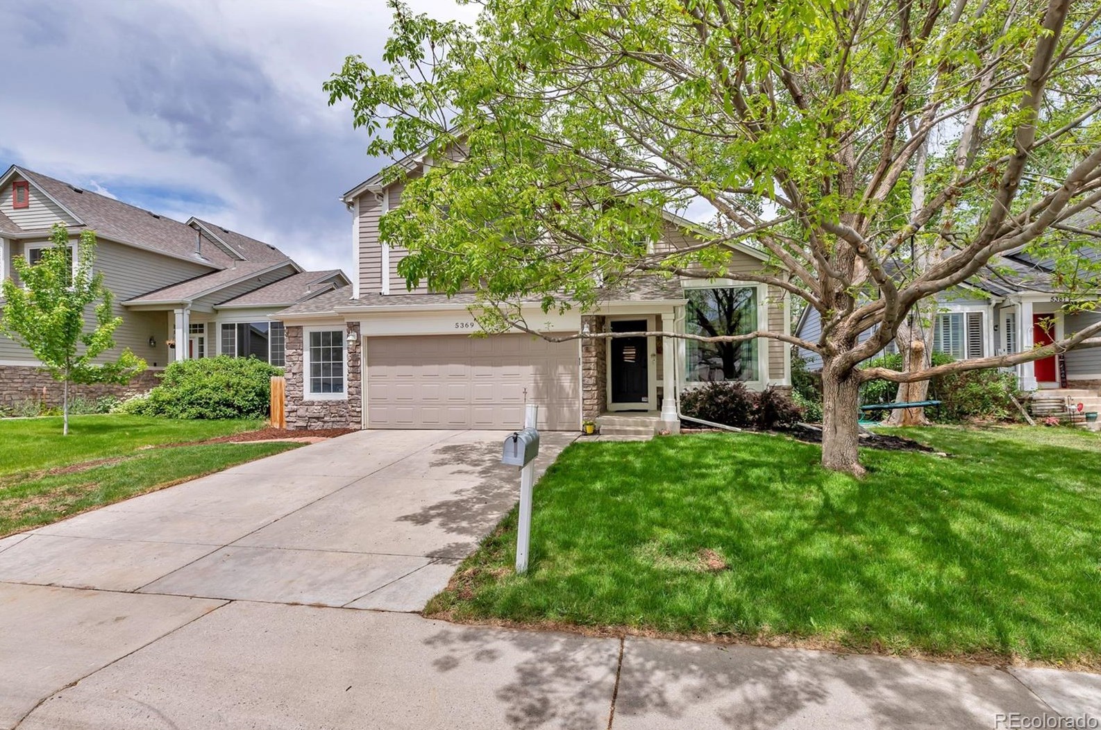 5369 Hamilton Ave, Castle Rock, CO 80104-8930