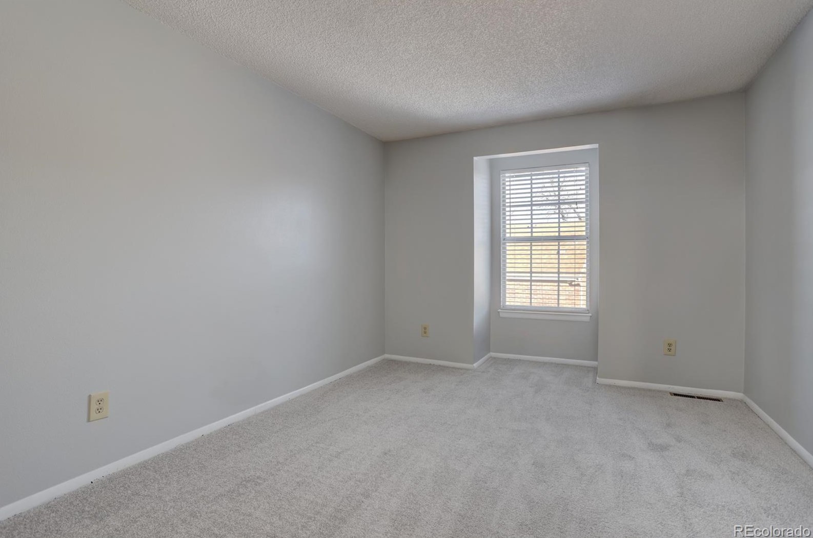 14121 Radcliff Cir, Denver CO  80015-1246 exterior