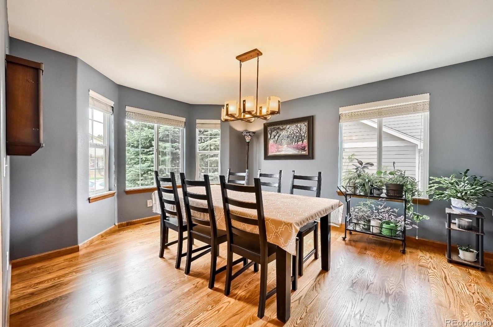 1686 Marsh Hawk Cir, Castle Rock CO  80109-3519 exterior