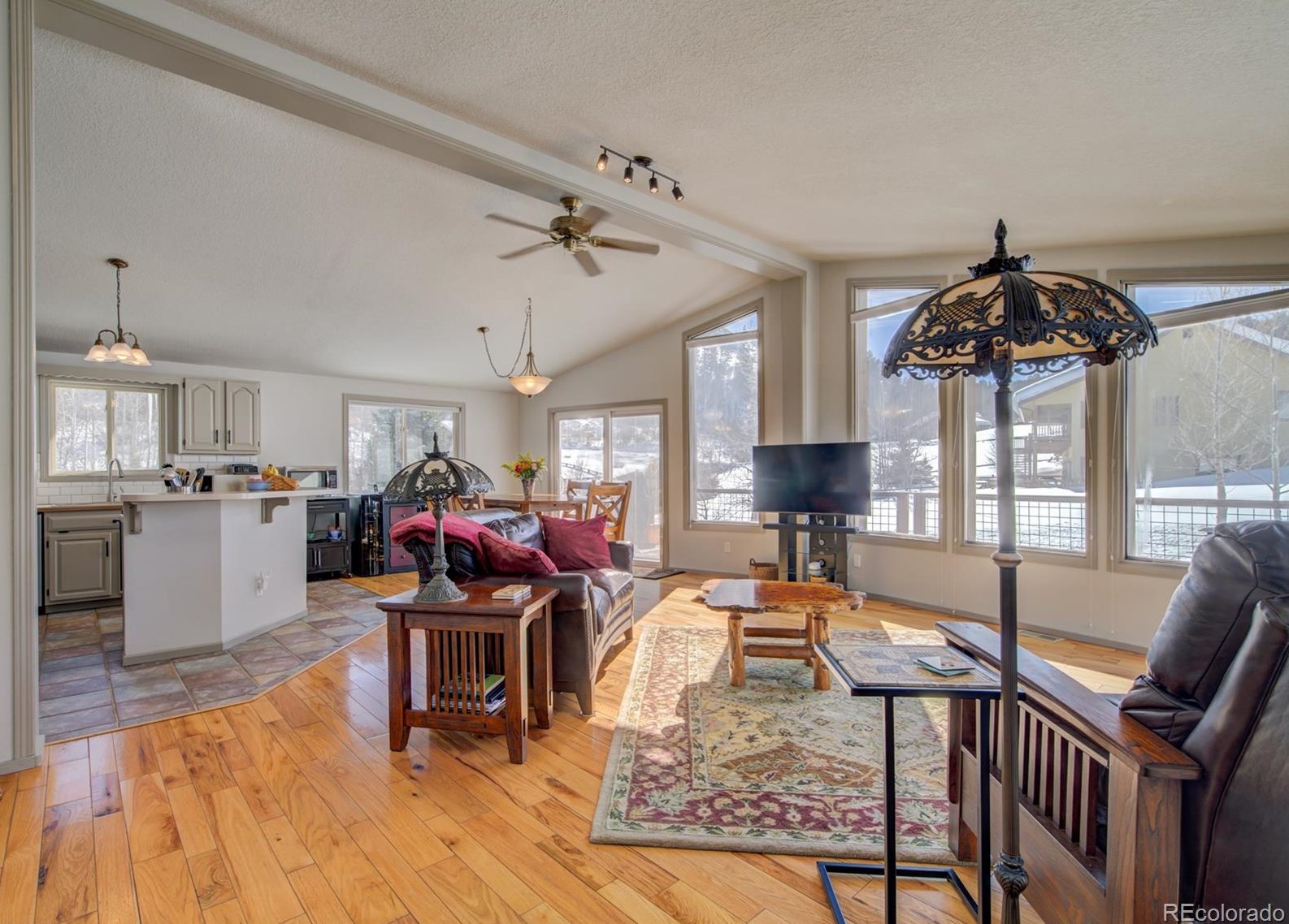 31270 Broken Talon Trail, Oak Creek, CO 80467
