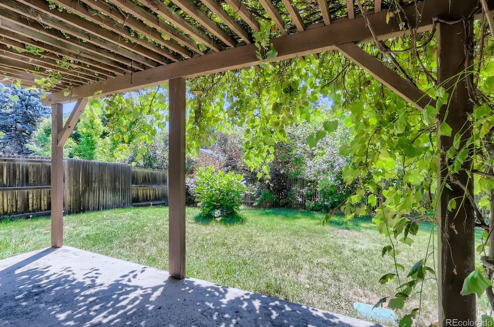 8164 Cody Ct, Arvada CO  80005-2420 exterior