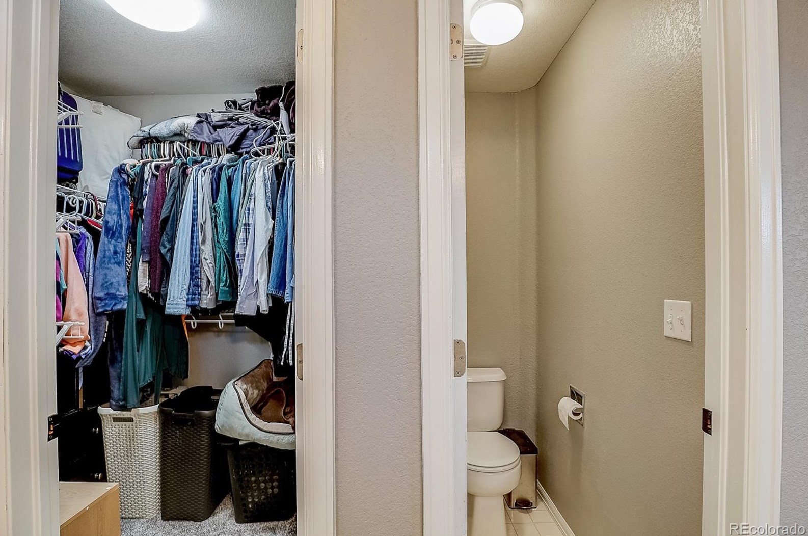 3505 Morning Glory Dr, Castle Rock CO  80109-8490 exterior