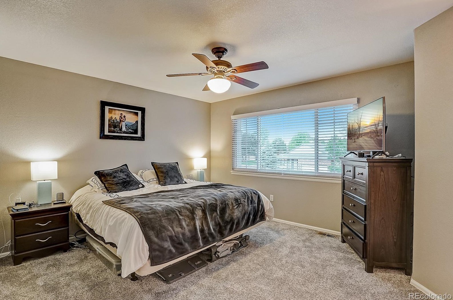 3505 Morning Glory Dr, Castle Rock CO  80109-8490 exterior