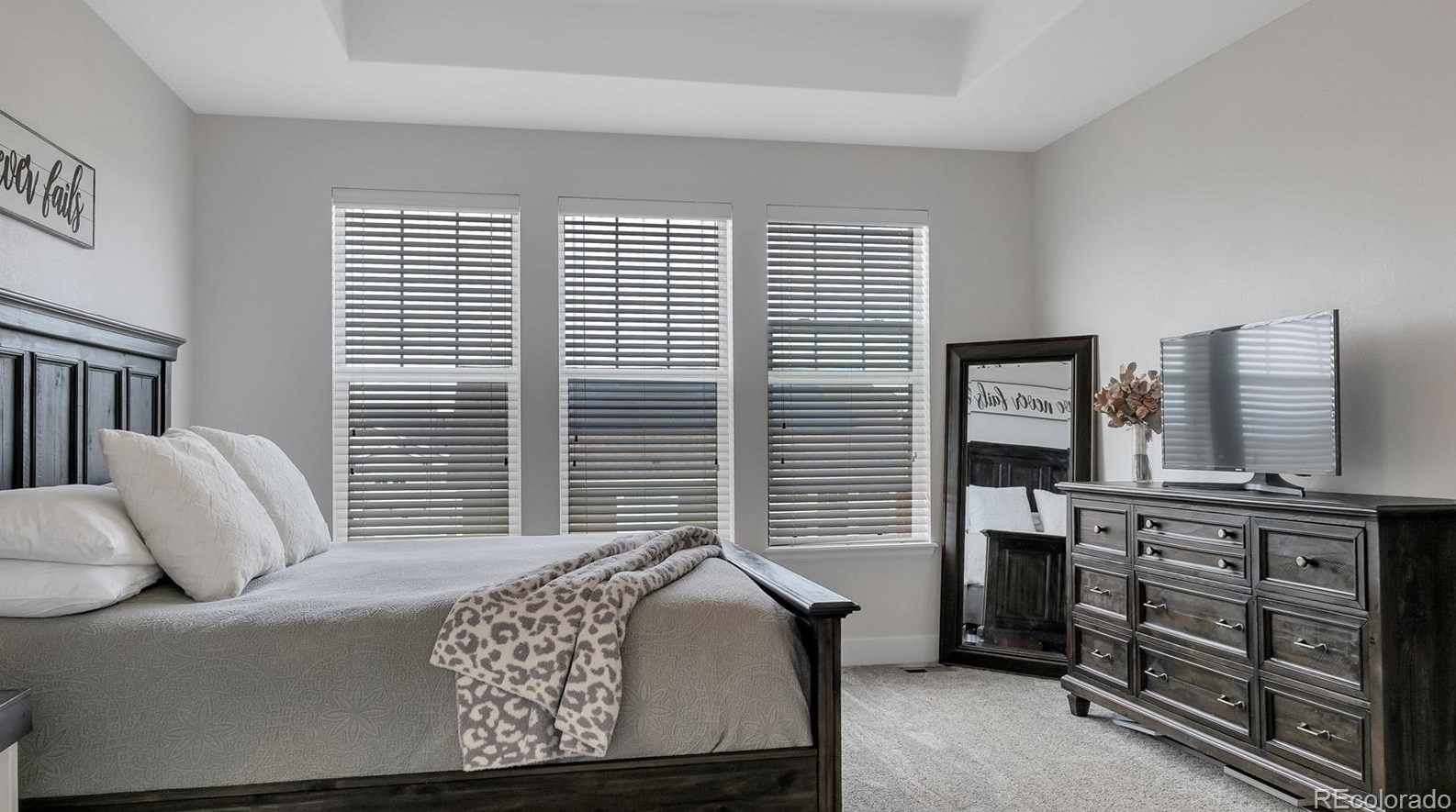 2499 Ambience Ln, Castle Rock CO  80109-3751 exterior