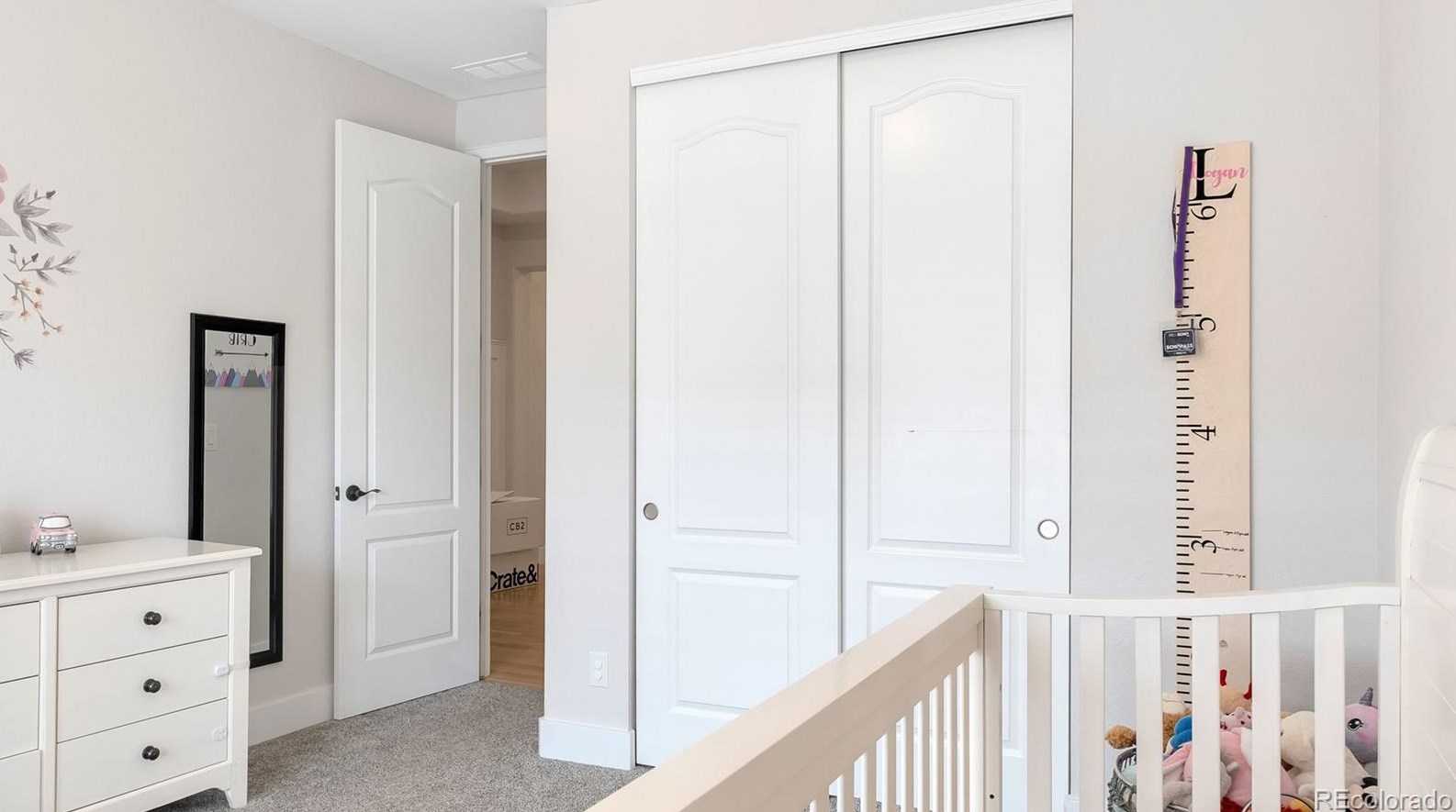 2499 Ambience Ln, Castle Rock CO  80109-3751 exterior