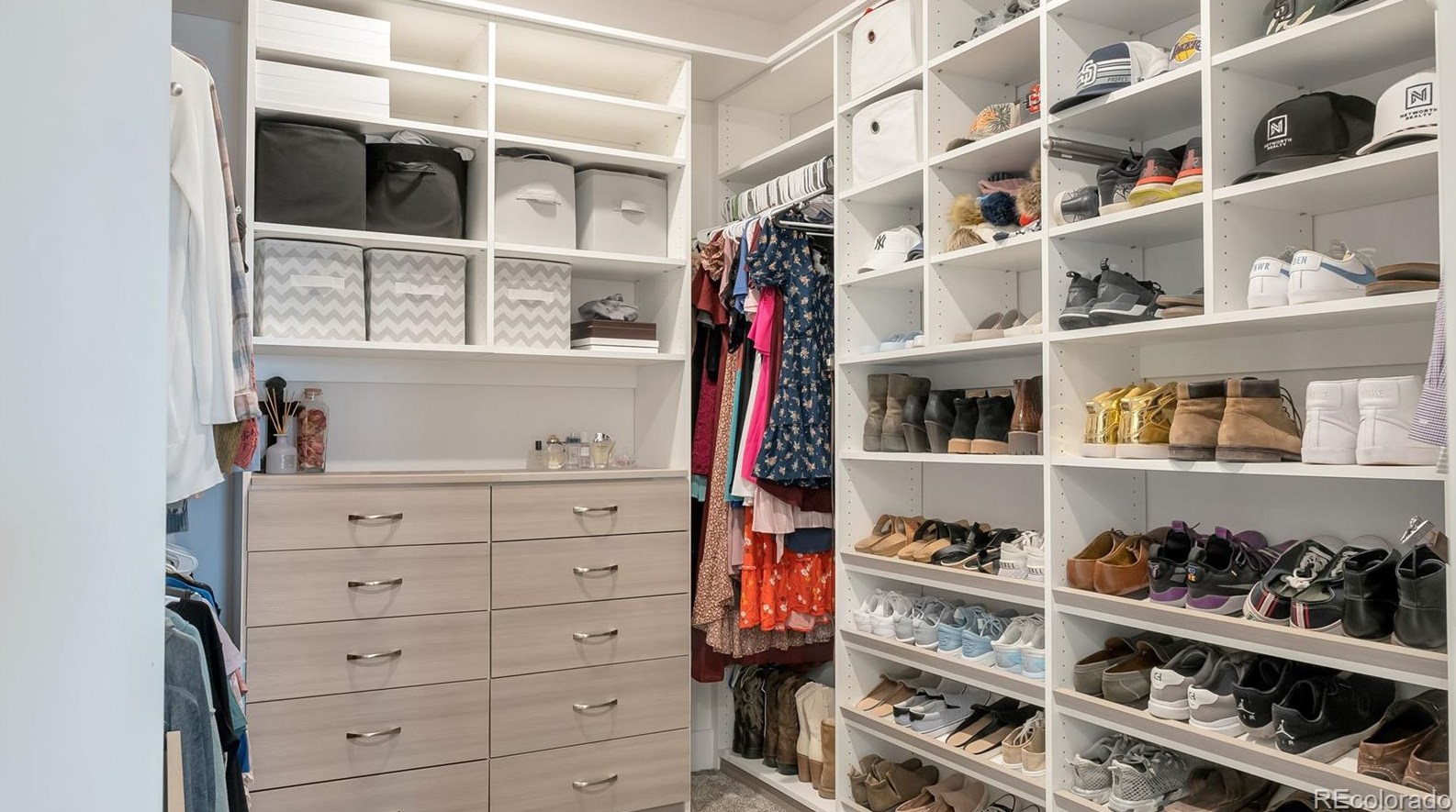 2499 Ambience Ln, Castle Rock CO  80109-3751 exterior