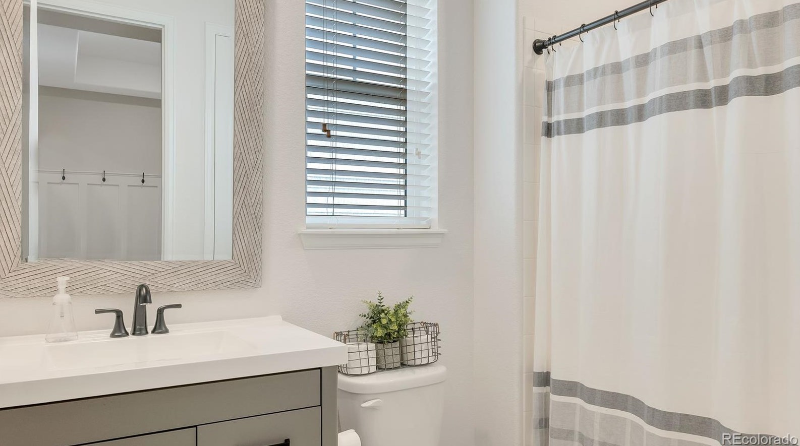 2499 Ambience Ln, Castle Rock CO  80109-3751 exterior