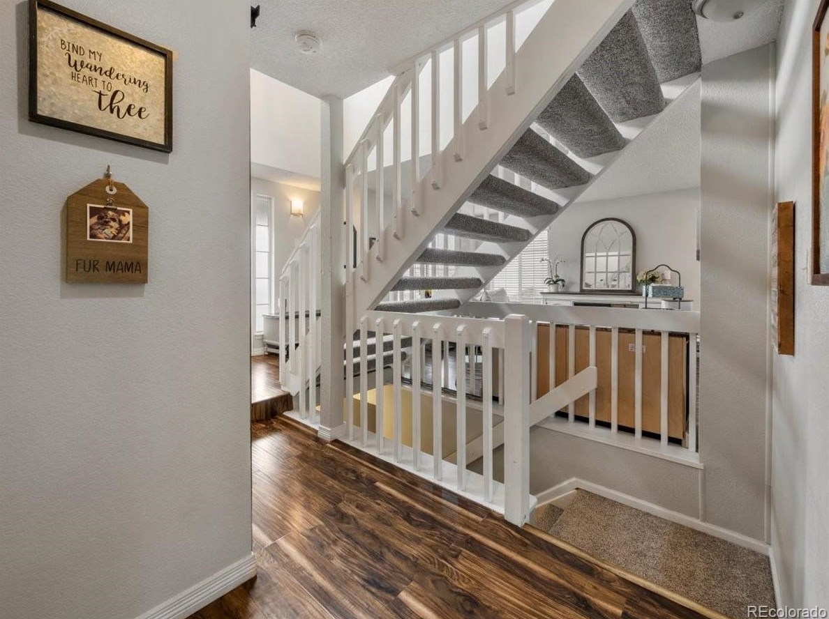 3677 Seramonte Dr, Littleton CO  80129-4627 exterior