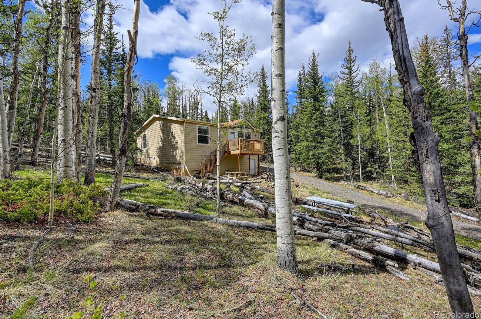 972 N Quarter Horse Rd, Fairplay, CO 80456