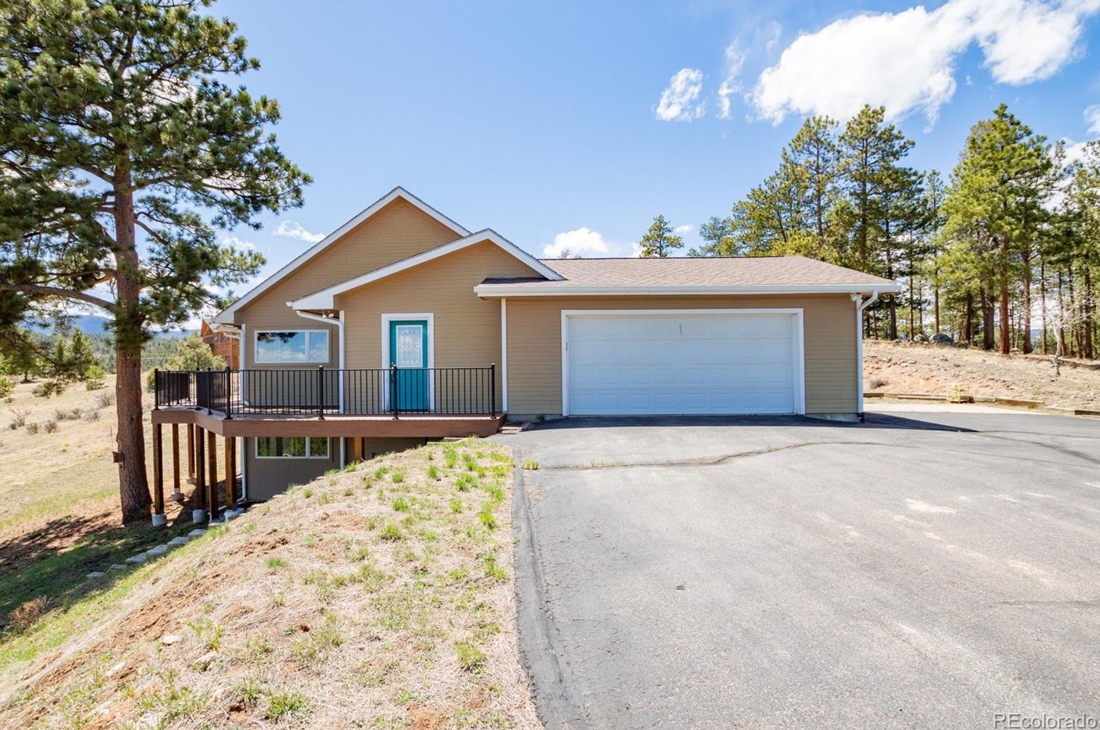 160 Hummingbird Ct, Bailey, CO 80421-2086