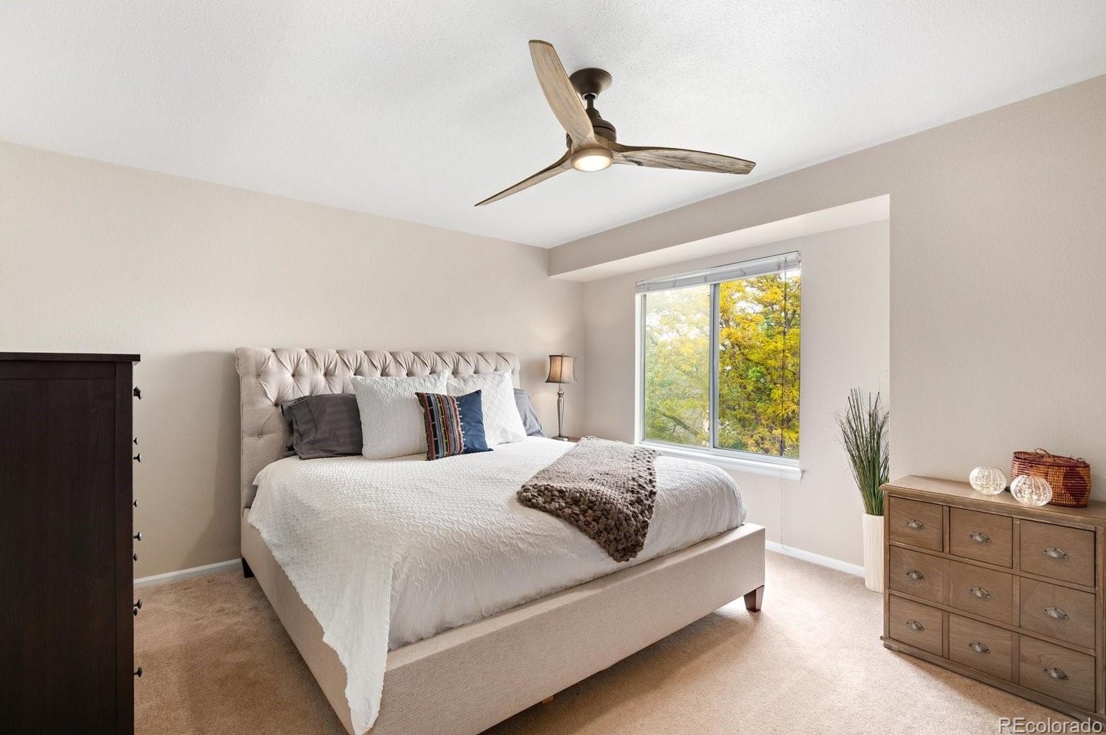 9724 Cv Crk Dr, Littleton CO 80129-5769 exterior