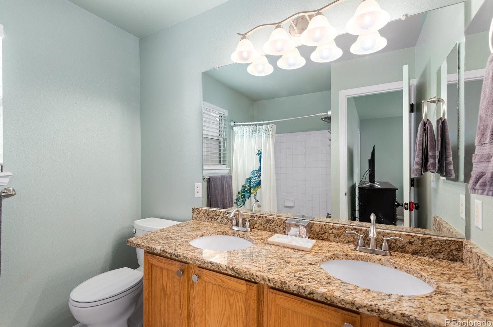 9724 Cv Crk Dr, Littleton CO 80129-5769 exterior