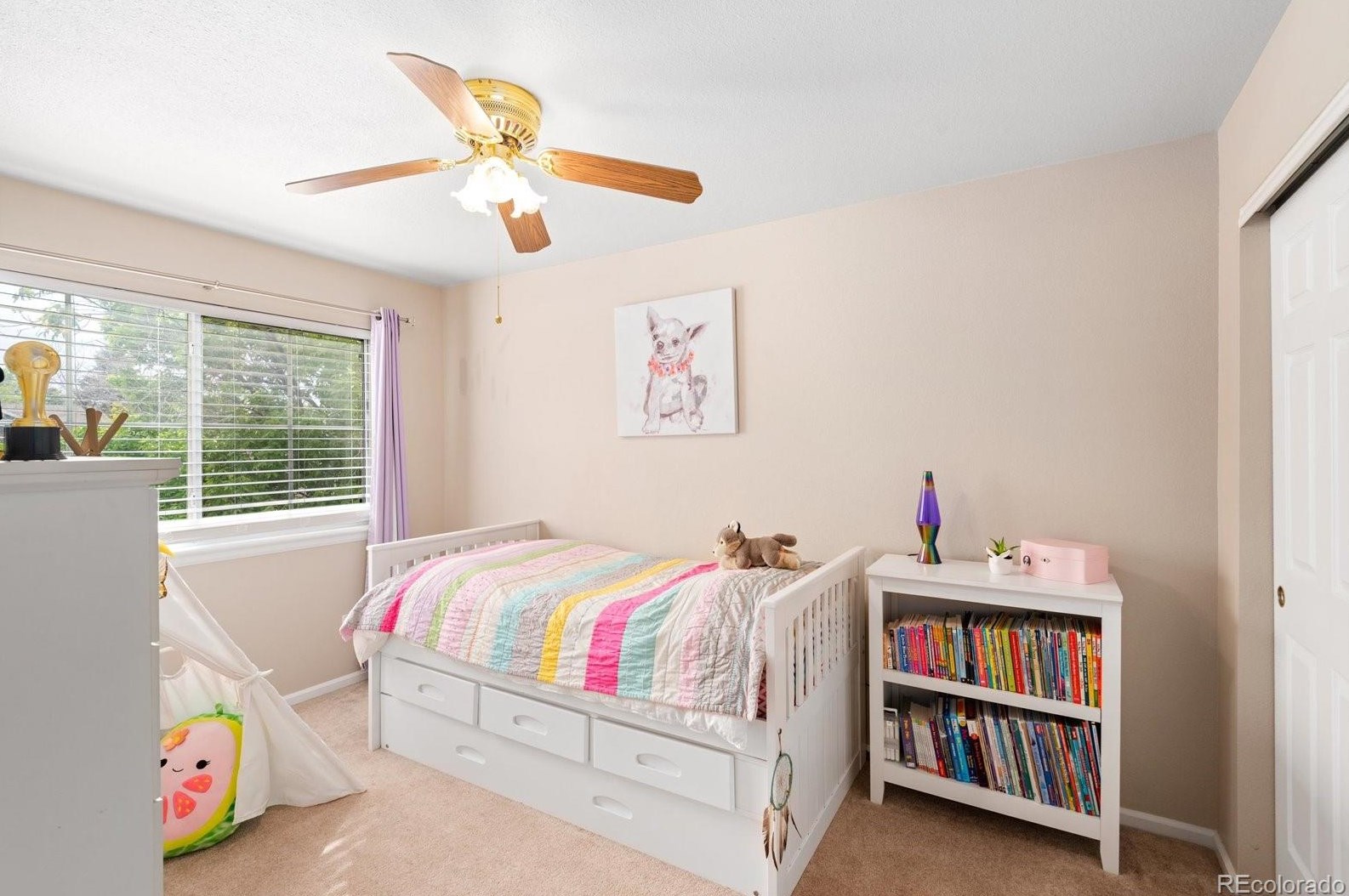 9724 Cv Crk Dr, Littleton CO 80129-5769 exterior