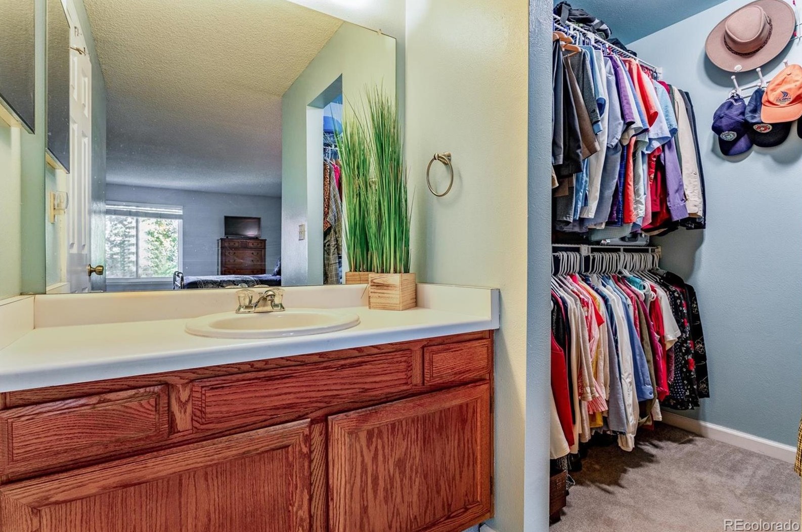 9960 Wagon Trl Dr, Littleton CO 80123-1955 exterior