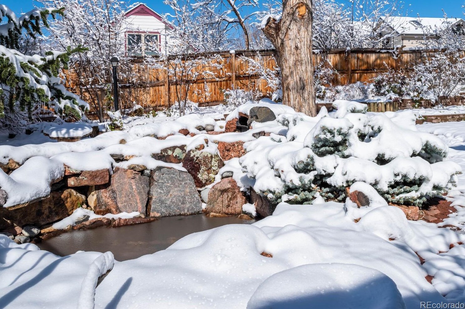 6053 Youngfield St, Arvada CO  80004-3958 exterior