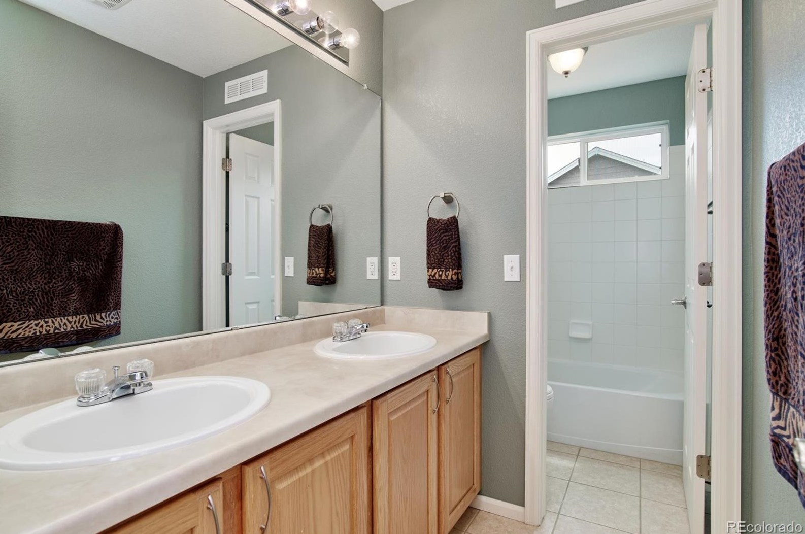 690 Briar Dale Dr, Castle Rock CO  80108-5504 exterior