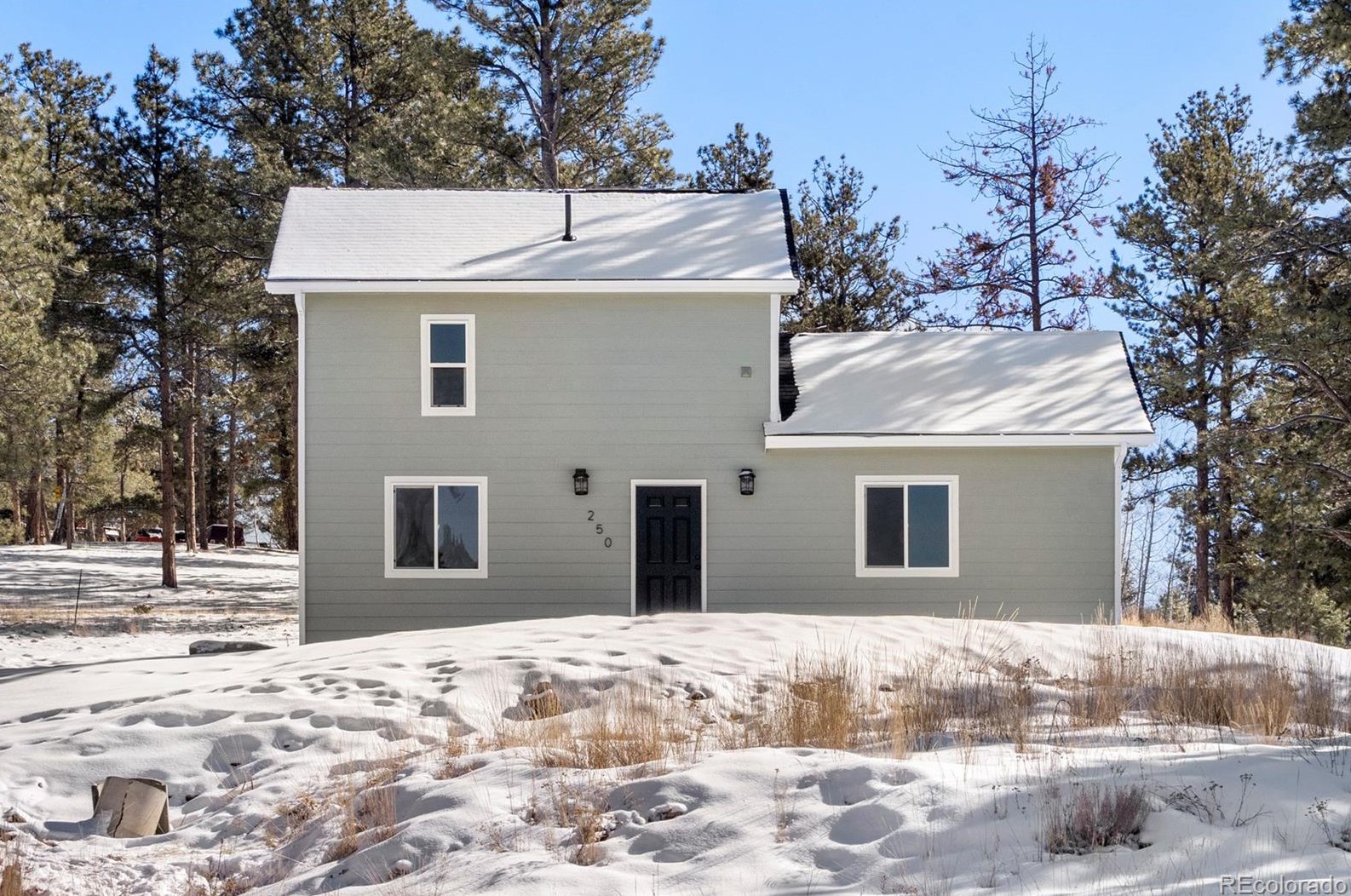 250 Rhyolite Ln, Twin Rock, CO 80816