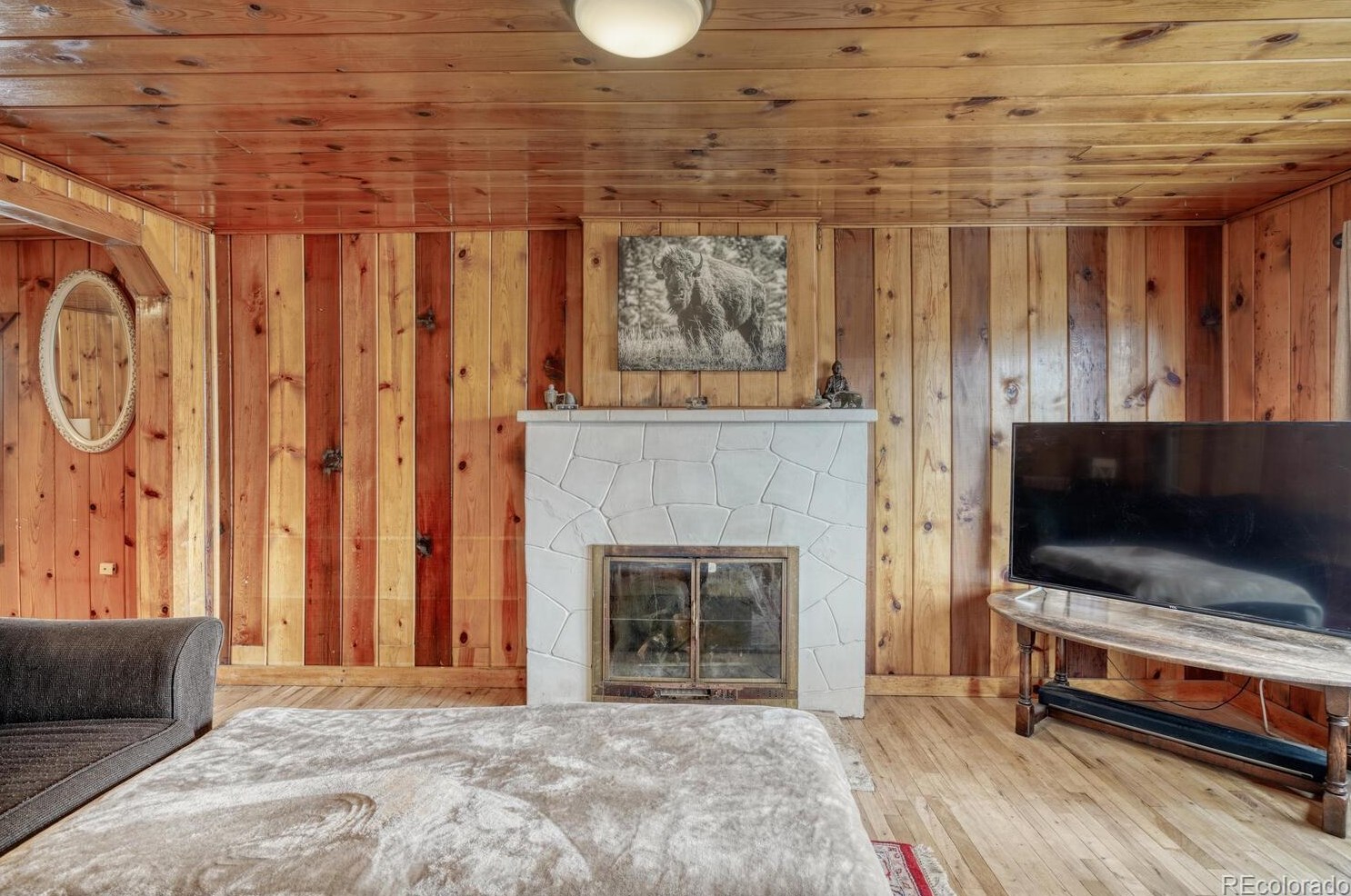 306 Gunnison Ave, Buena Vista CO  81211-8155 exterior