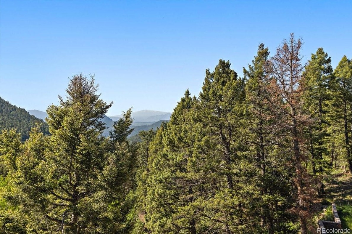13205 Shiloh Rd, Conifer, CO 80433