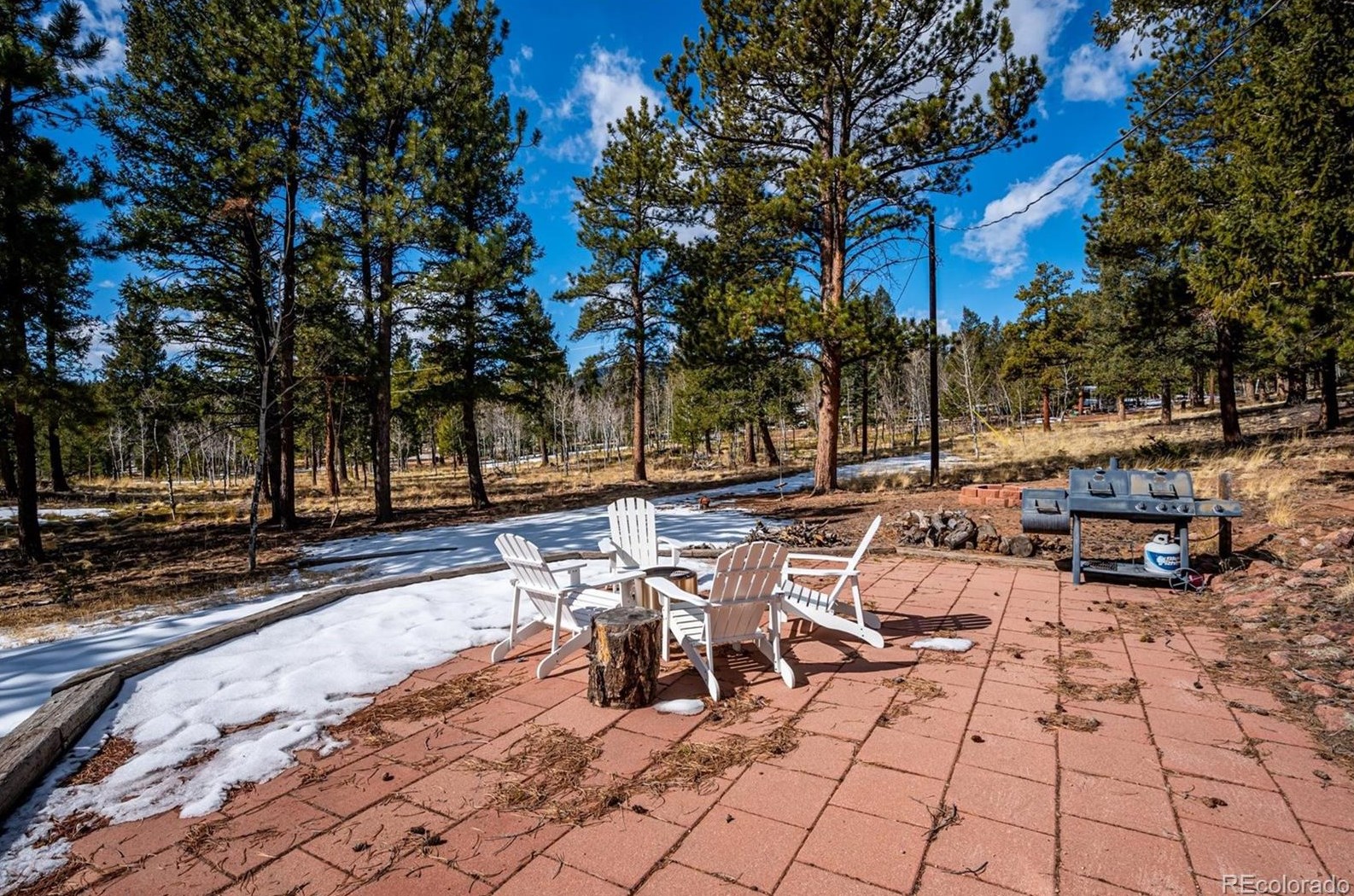 2097 Vigilante Ave, Bailey CO  80421-1053 exterior