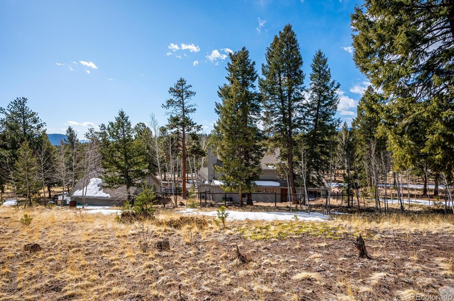 2097 Vigilante Ave, Bailey CO  80421-1053 exterior