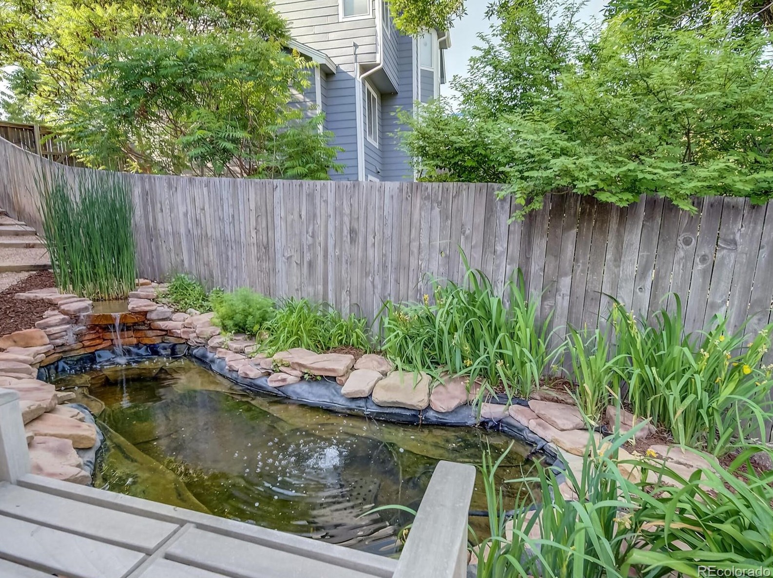 10311 Royal Eagle Ln, Littleton CO 80129-6283 exterior