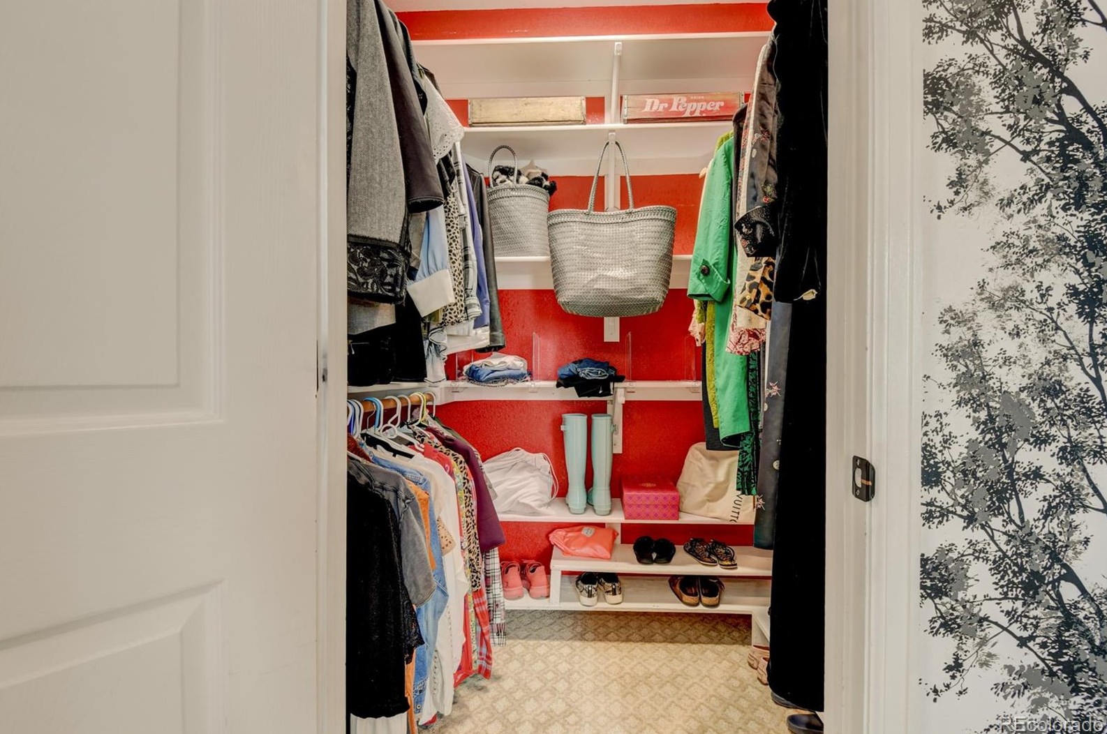 9944 Gwendelyn Pl, Littleton CO 80129-6219 exterior