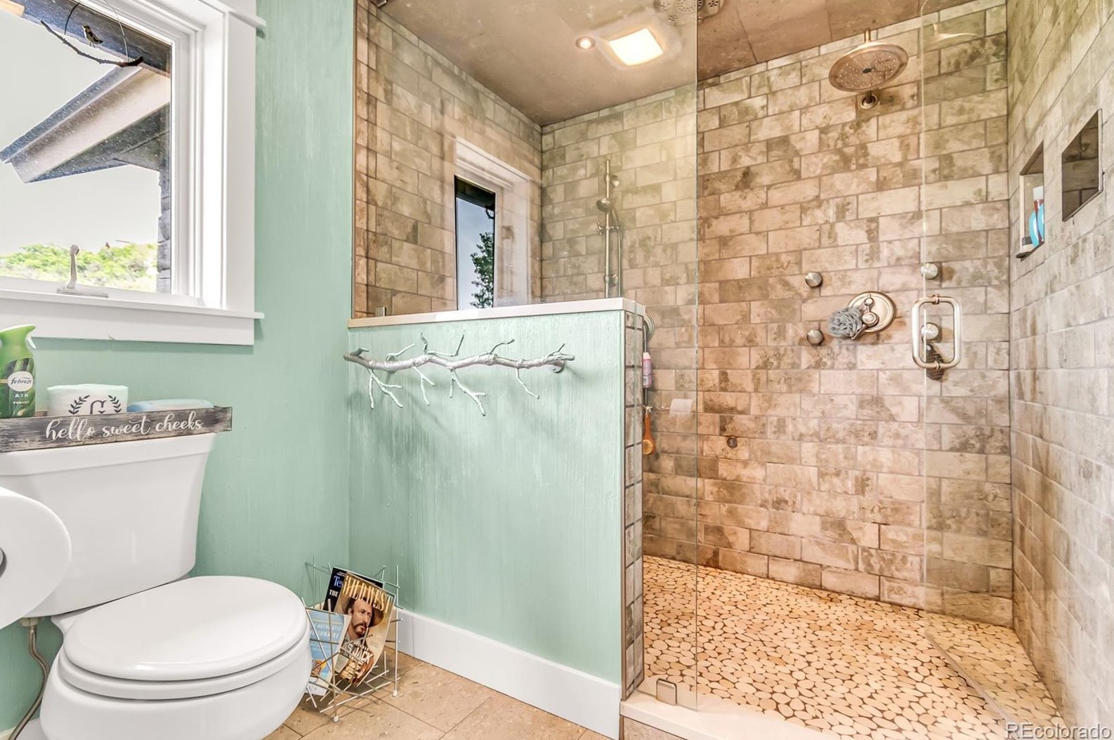 629 Meadowbrook Cir, Steamboat Springs CO  80487-3043 exterior