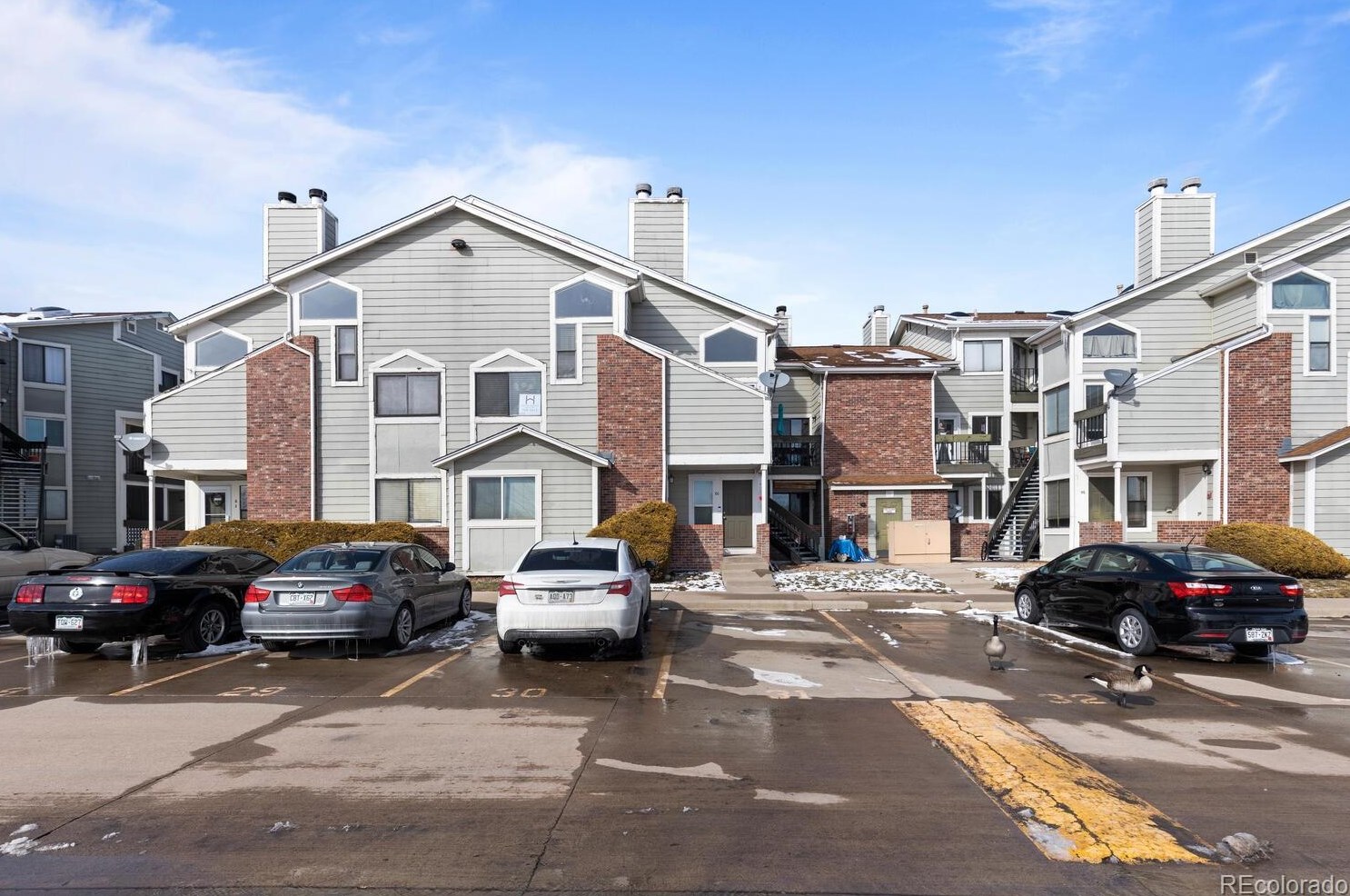 5620 80th Pl, Arvada CO  80003-1853 exterior