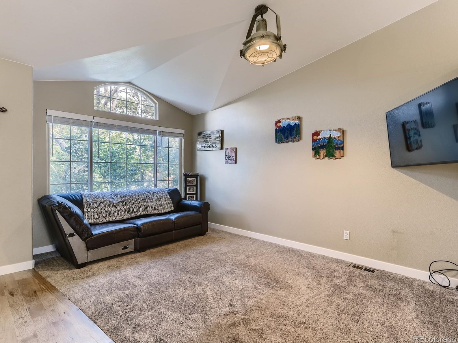 151 Carlton St, Castle Rock CO 80104-8949 exterior