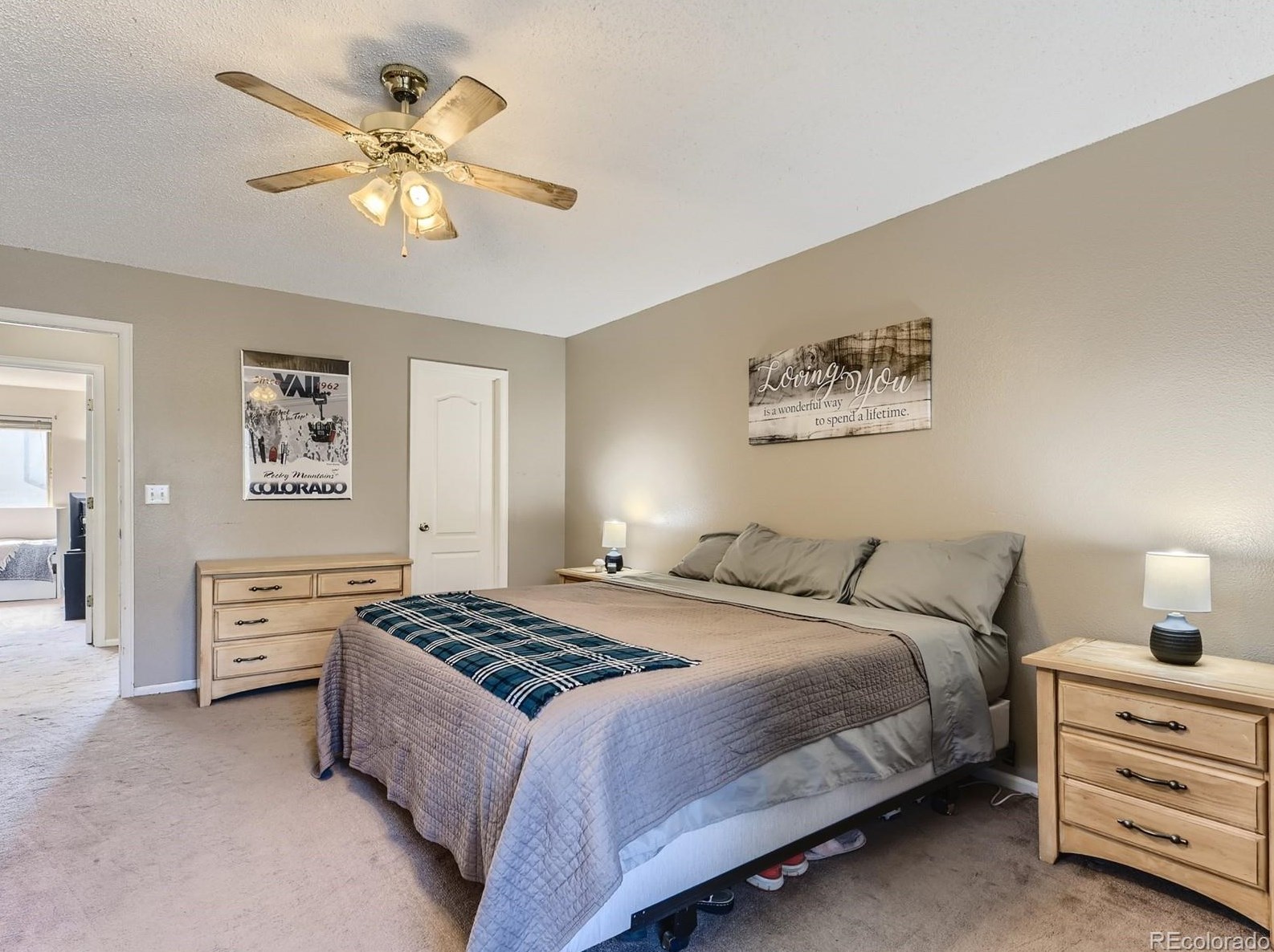 151 Carlton St, Castle Rock CO 80104-8949 exterior