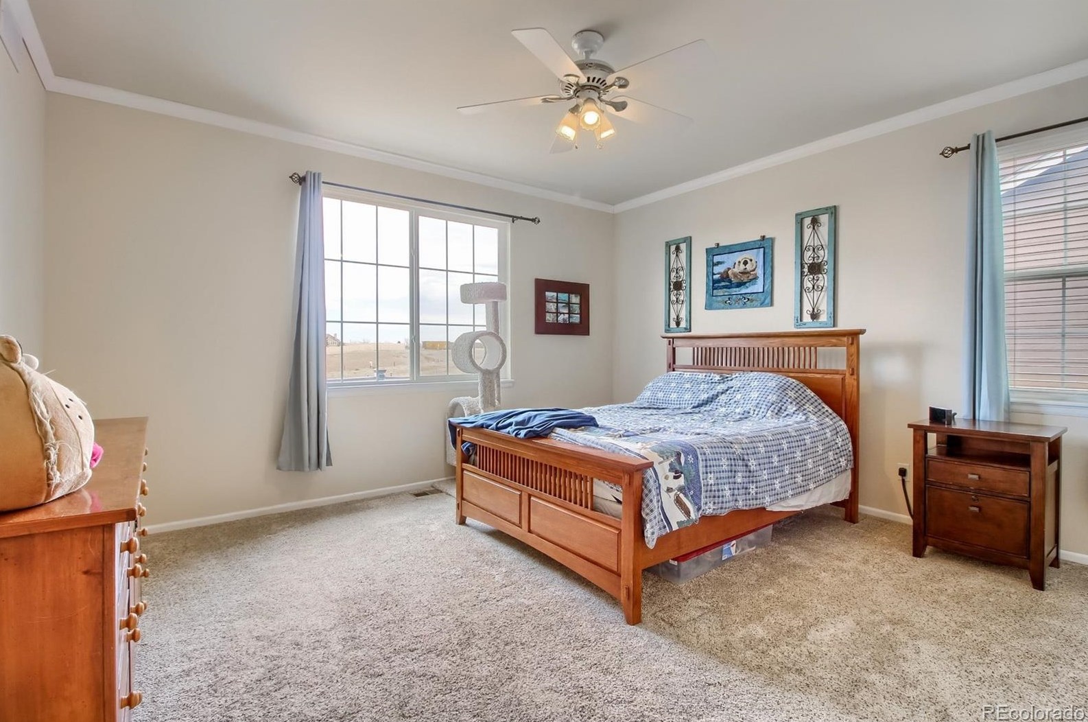 8592 Mallard Pl, Littleton CO 80126-2963 exterior