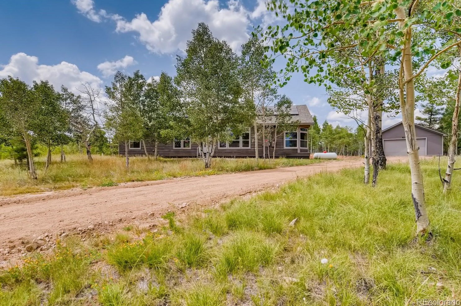 151 Aspen Way Dr, Twin Rock, CO 80816
