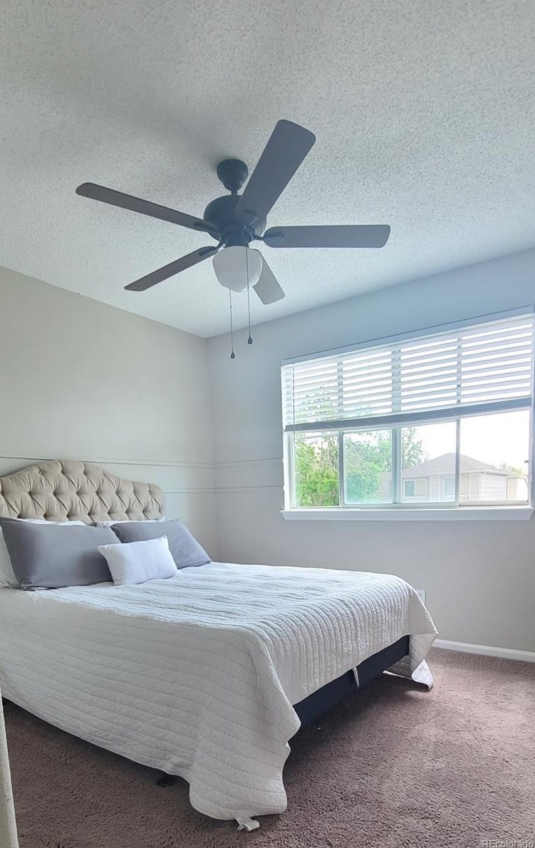 4308 Bennington Ave, Castle Rock CO  80104-8581 exterior