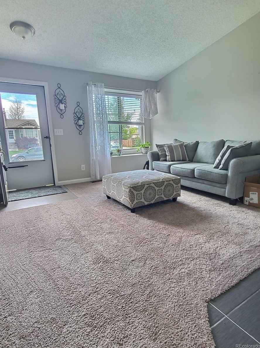 4308 Bennington Ave, Castle Rock CO  80104-8581 exterior