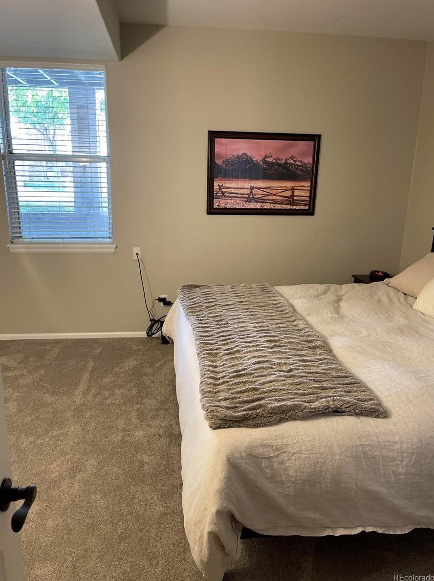 8703 Wentworth Ct, Littleton CO  80124-3112 exterior