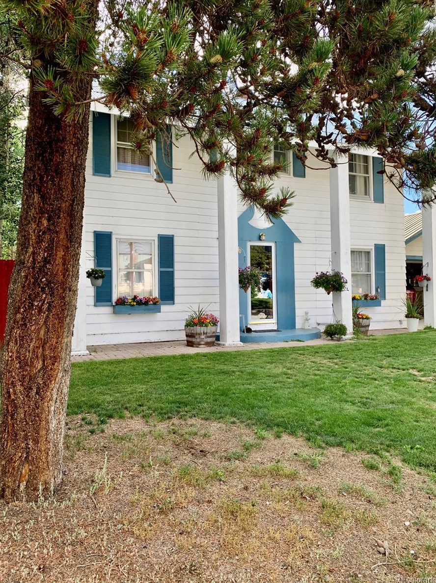 1600 Mt Massive Dr, Leadville, CO 80461