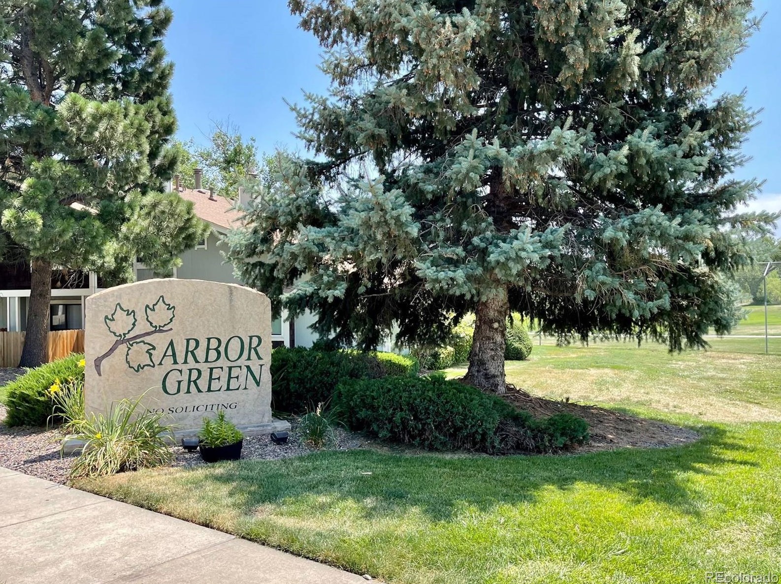 6935 87th Way, Arvada CO 80003-1088 exterior